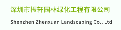 深圳市振轩园林绿化工程有限公司-深圳开业花蓝_深圳室内绿植_深圳办公室花卉租摆-