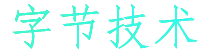 字节技术