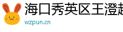 海口秀英区王澄越科技有限公司