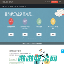 NetSuite 中国官网 - 云ERP财务业务软件先驱者