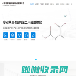 山东恒昇环保科技股份有限公司