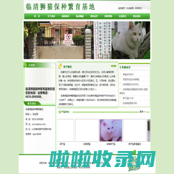 狮猫,临清狮子猫,山东狮猫-临清狮猫保种繁育基地