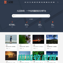 九五百科 - 一个专业有趣的知识分享平台|锐萌镇雪策划-九五百科