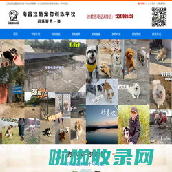 南昌训犬学校-南昌拉酷宠物训练狗狗寄养基地