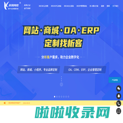 企业网站建设|江门网站建设|OA定制|ERP系统开发-析客网络