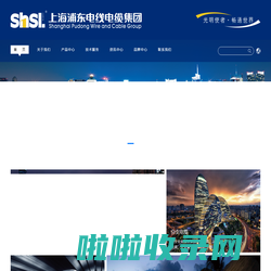 上海浦东电线电缆（集团）有限公司