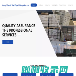 Cang Xian Li Wei Pipe Fittings Co.,Ltd