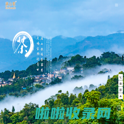 满山歌茶业（西双版纳）有限公司-满山歌-速溶茶-茶黄素-冷泡茶