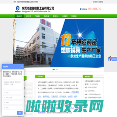 东莞市盈铂模具工业有限公司