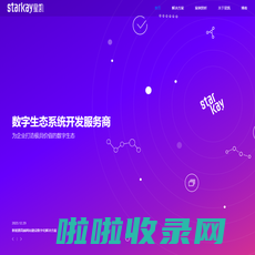 星凯网络_小程序系统开发_APP平台制作公司_高端品牌网站建设_平台系统定制开发