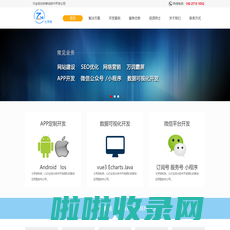 武汉小程序开发-武汉软件开发-武汉网站建设-武汉数据可视化开发-武汉app开发—七字码科技