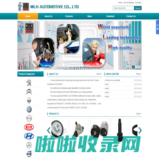 广州市奥韦特贸易有限公司 | WLH AUTOMOTIVE CO., LTD