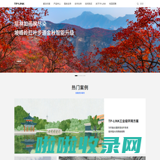 TP-LINK-领先的ICT整体解决方案提供商