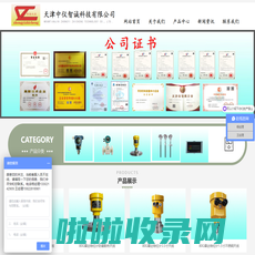 天津中仪智诚科技有限公司